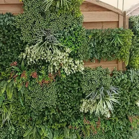 Mobilhome L'oasis Le Clos Cottet * Angles (Vendee)